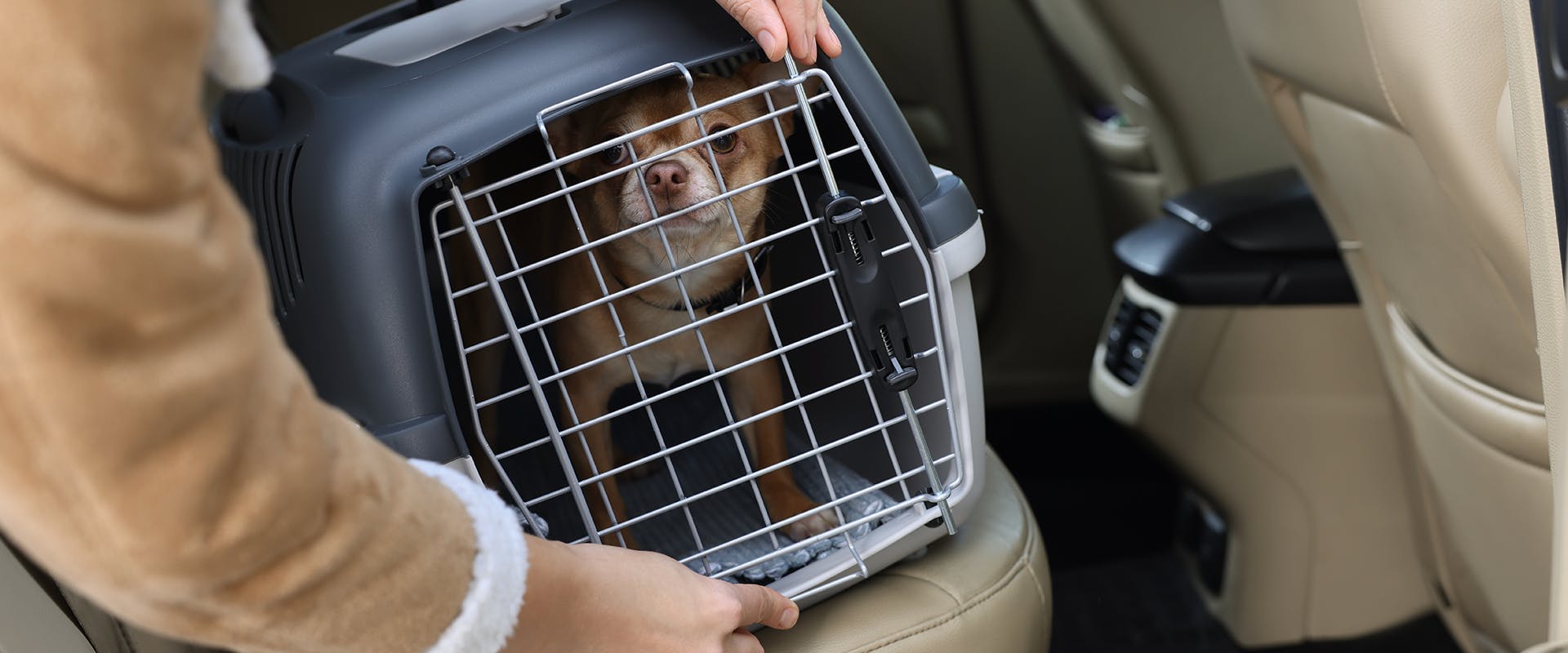Dog crates for travel in cars online